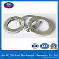 Factory Price Stainless steel DIN25201 Lock Washer with ISO