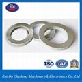 OEM&ODM Stainless Steel Fastener DIN25201 Lock Washer with ISO 3