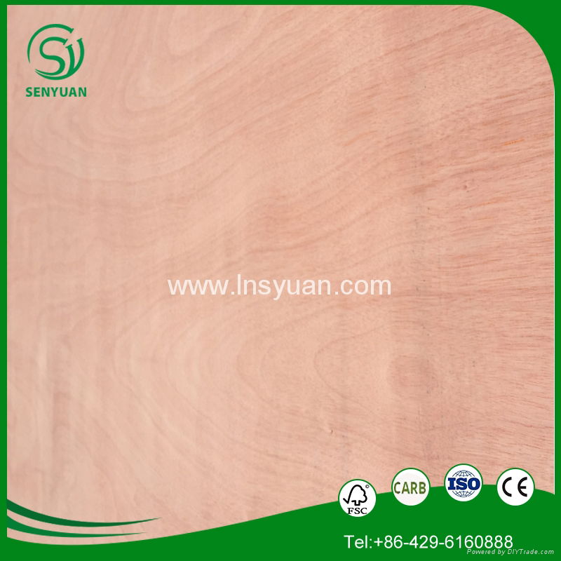 the cheap and top quality plywood from Linyi in China  2