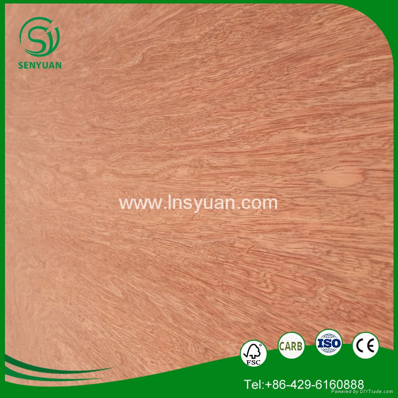 the cheap and top quality plywood from Linyi in China  3