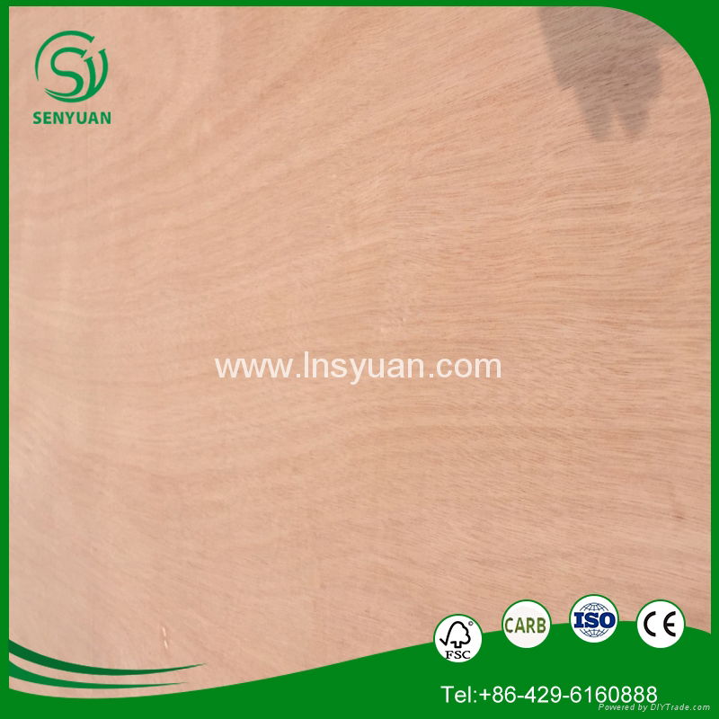 the cheap and top quality plywood from Linyi in China  4