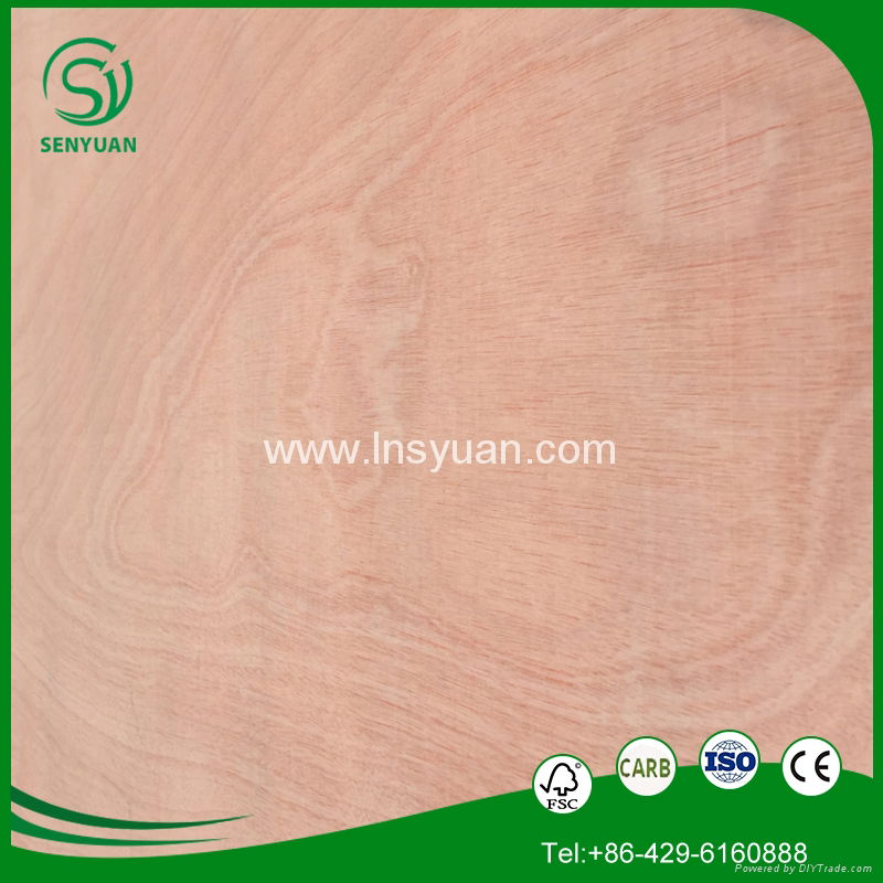 the cheap and top quality plywood from Linyi in China  5
