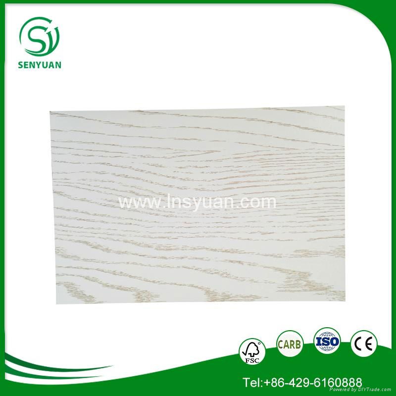 the cheap price and top quality Melamine coated plywood for furniture and closet 2