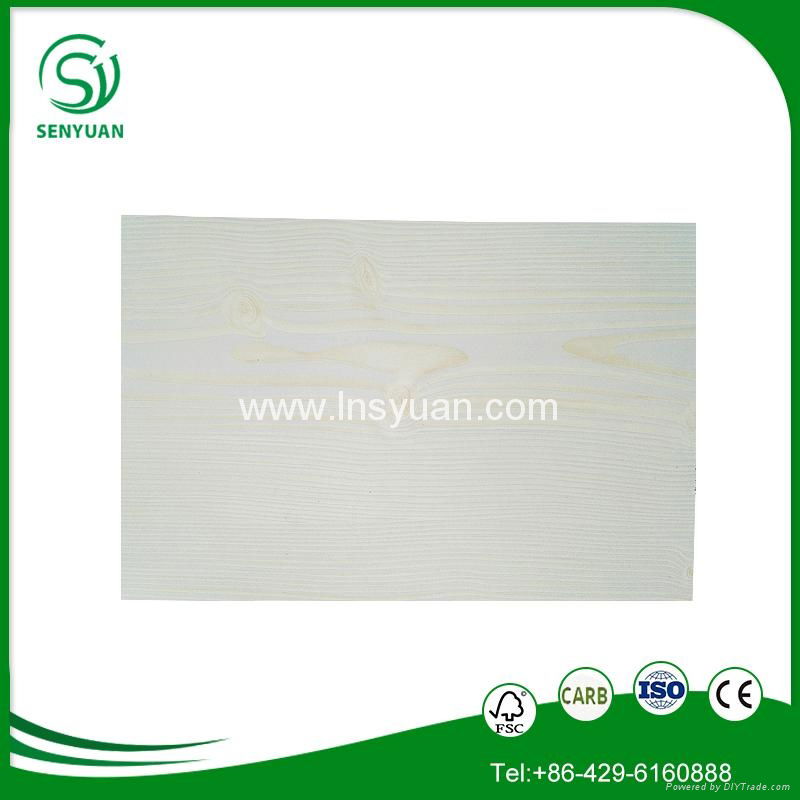 the cheap price and top quality Melamine coated plywood for furniture and closet 3