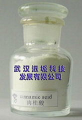 Cinnamic aldehyde