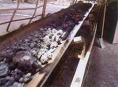 Heat resistant conveyer belt