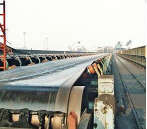 Heat resistant conveyer belt