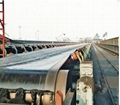 Heat resistant conveyer belt