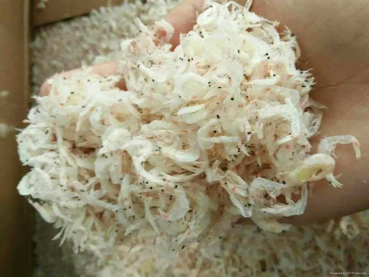 Dried Baby Shrimp Babyshrimp001 Viet Delta (Vietnam Manufacturer