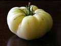 英国TOMESORAL白番茄提取物Grelide®格莱德白番茄浓缩粉 2