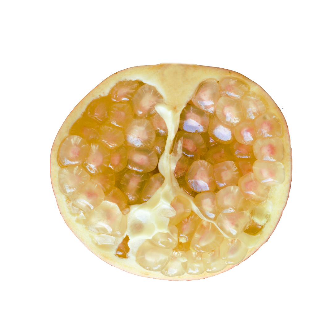 POMEWHITE白石榴提取物Grelide格莱德白石榴浓缩粉 2