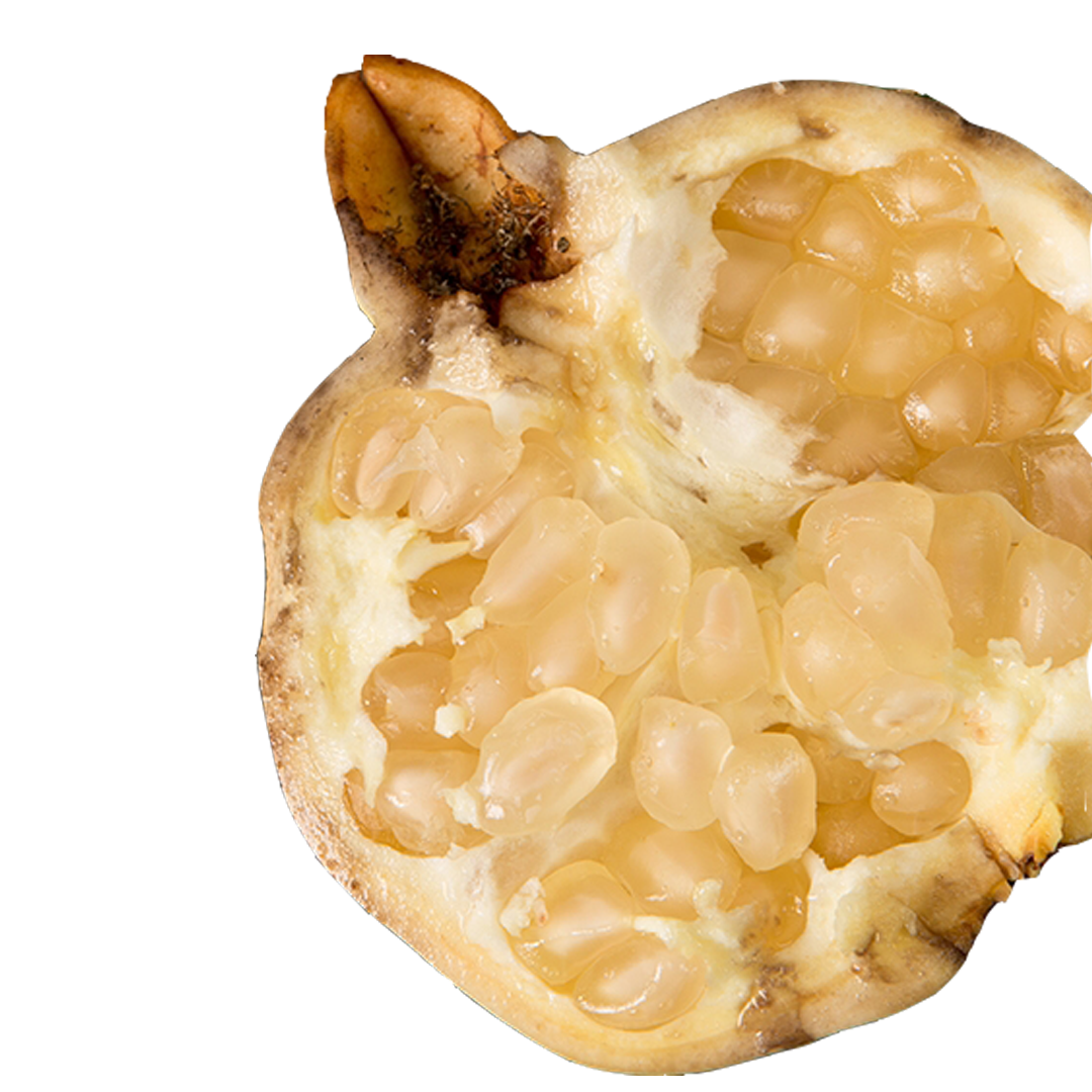 POMEWHITE白石榴提取物Grelide格莱德白石榴浓缩粉 3