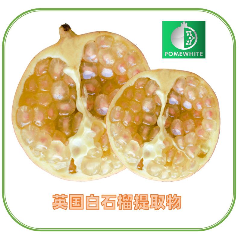 POMEWHITE白石榴提取物Grelide格莱德白石榴浓缩粉