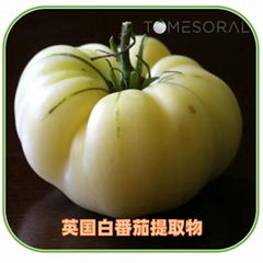 英國TOMESORAL白番茄提取物Grelide®格萊德白番茄濃縮粉