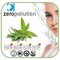 西班牙zeropollution 槐米橄欖濃縮粉 | 提取物