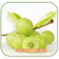 Grelide®格莱德AMLA