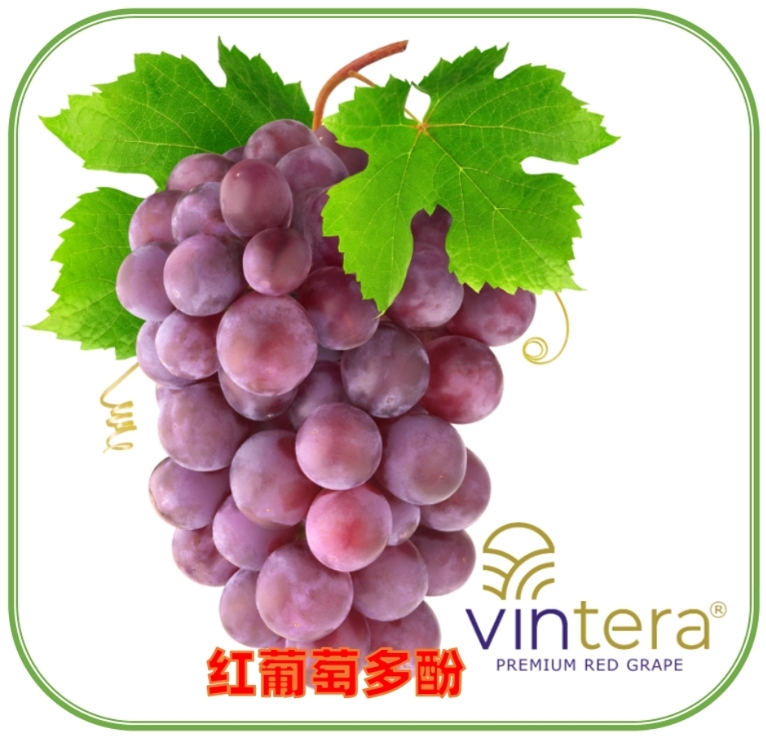 VINTERA红葡萄多酚（红葡萄浓缩粉） 3