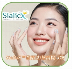 SialicX 燕窝肽 马来西亚SialicX燕窝提取物
