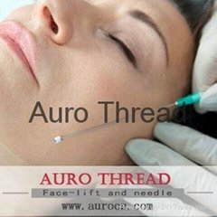 Absorbable Pdo Thread Lifting with