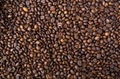  Coffee beans Robusta and Arabica 1