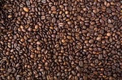  Coffee beans Robusta and Arabica