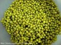 Green Mung Beans , Moong Dal, Toor Dal , Sesame Seeds , Red Lentils
