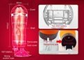 Sex toy for man with vagina looking design adult sex toy male masturbation cup 2