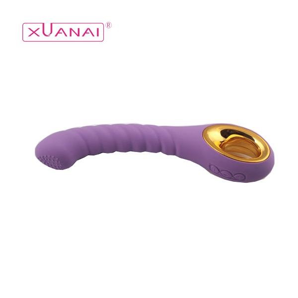  10 Speeds Handheld Professional Vibrating Sex Toy Female Vibration Massager 5