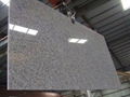 granite G603 slabs direct supplier with high quality 1