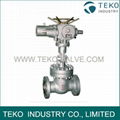 Electric Actuated Flaned End Gate Valve 1