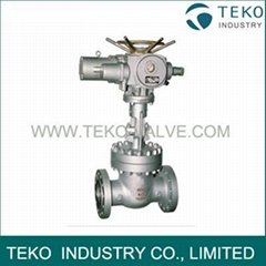 Electric Actuated Flaned End Gate Valve