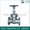 Solid Wedge Gate Valve 1