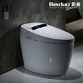 Intelligent Bidet Toilet