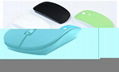 .4G Wireless Optical Mouse Mice 5 Colors  1