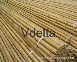 Bamboo fence suppliers