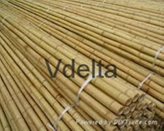 Bamboo fence suppliers