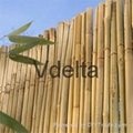 Bamboo fence suppliers 3