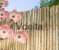 Bamboo fence suppliers 5