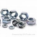 MS Hex Nut