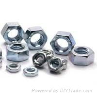 MS Hex Nut