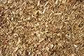 Wood Pellets and Chips