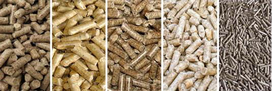 Wood Pellets and Chips 2