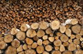 Birch Cherry firewood and logs 1