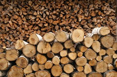 Birch Cherry firewood and logs