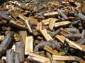 Birch Cherry firewood and logs 3