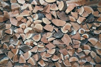 Birch Cherry firewood and logs 4