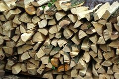 Maple Oak firewoods and logs