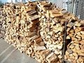 Maple Oak firewoods and logs 2