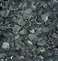Coconut shell Charcoal 1