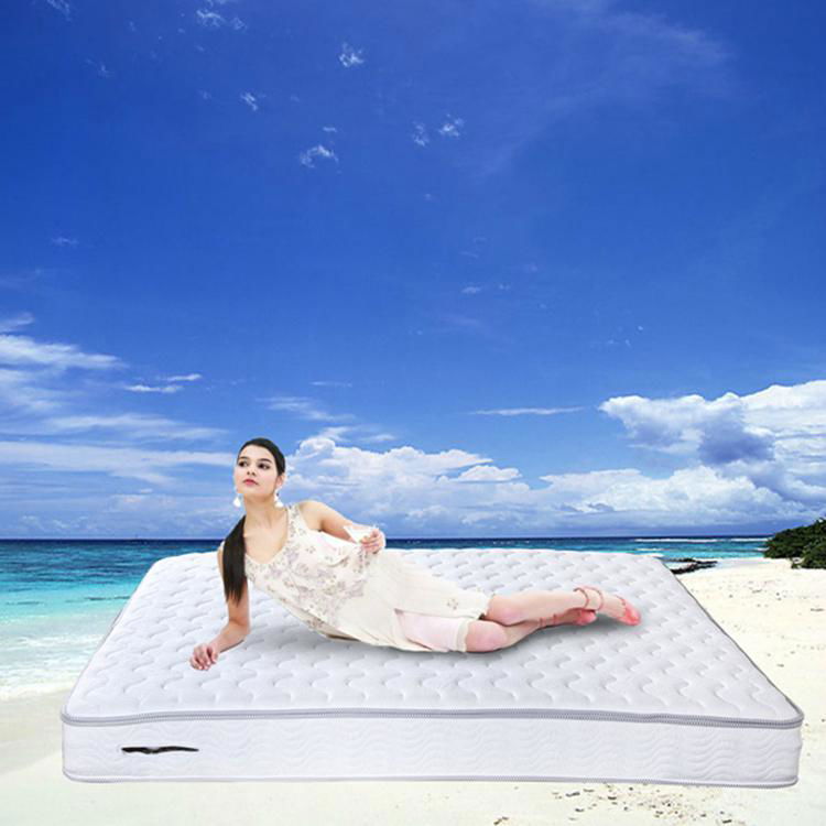 Single size memory foam spring mattress
